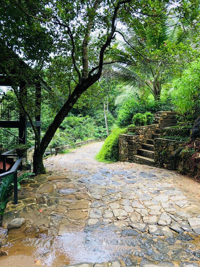 Forest Shade Eco Resort Deraniyagala Exterior photo